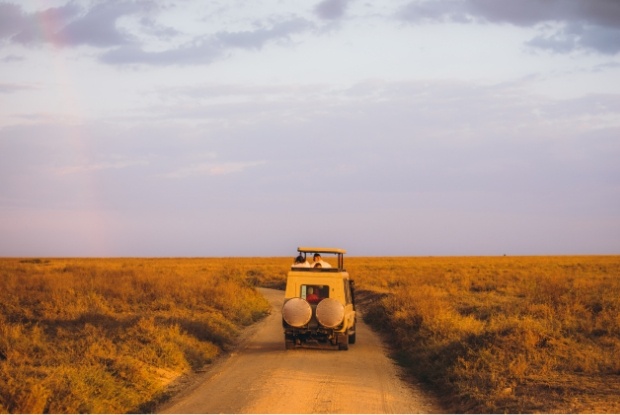 Safari Drive