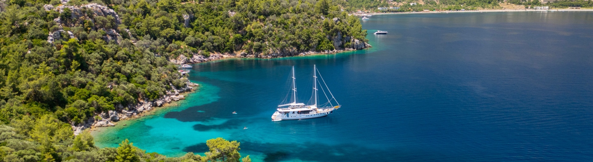 Cruises