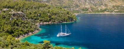 Cruise Specialists