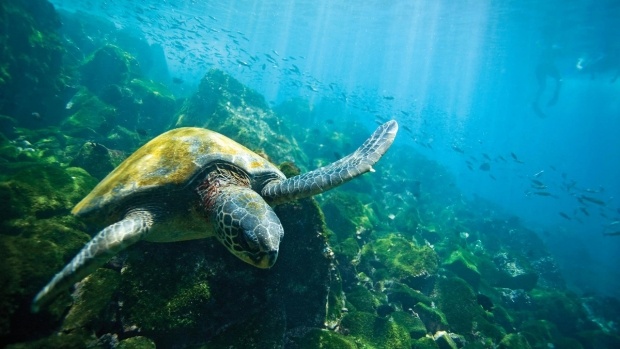 Galápagos Escape