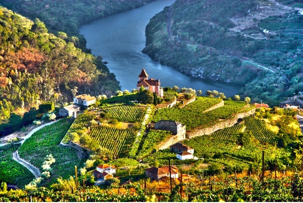 Portugal's Douro Delights