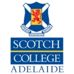 Scotch