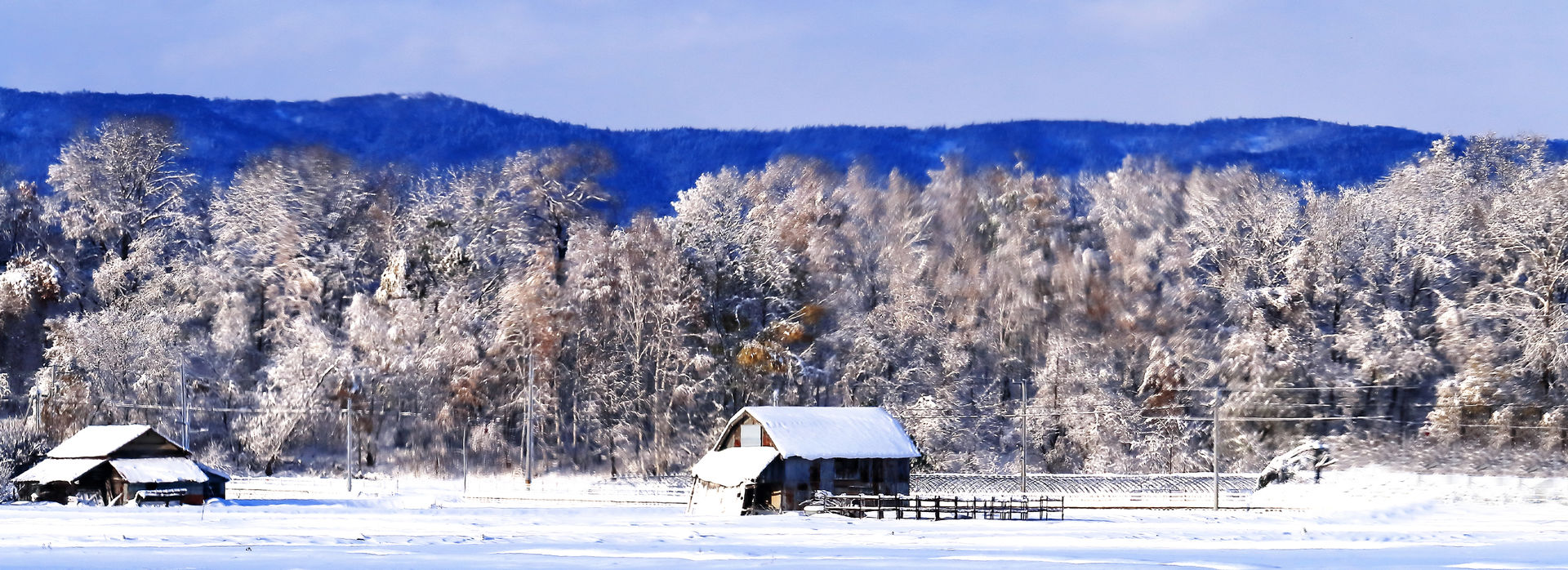 Winter in Japan