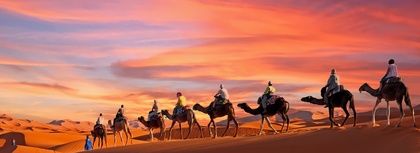 Classic Morocco with Intrepid
