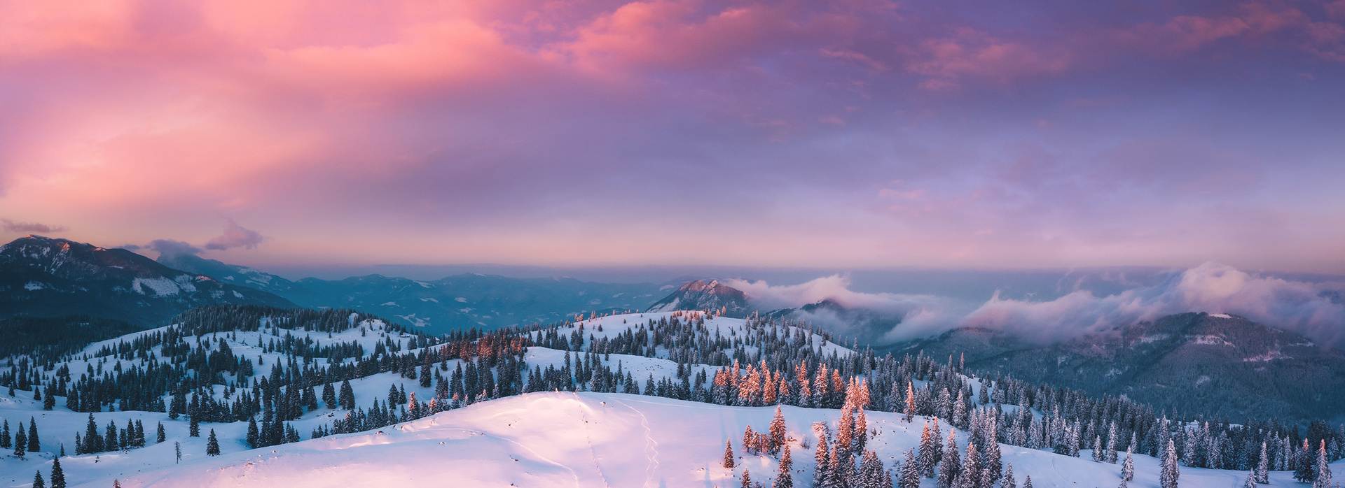 Winter Wonderland