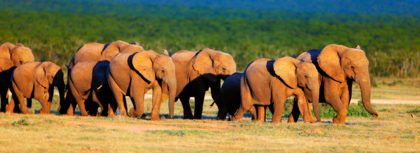 Zimbabwe, Botswana & Namibia by Natalie Pease & Cath Alston