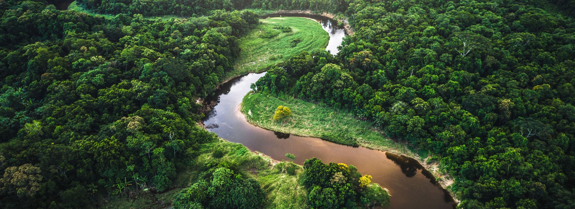 River in the Amazon