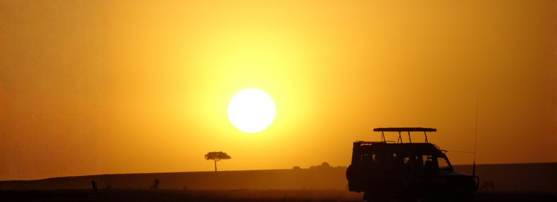 Safari Packing List: Expert Africa Travel Tips for an Unforgettable Safari