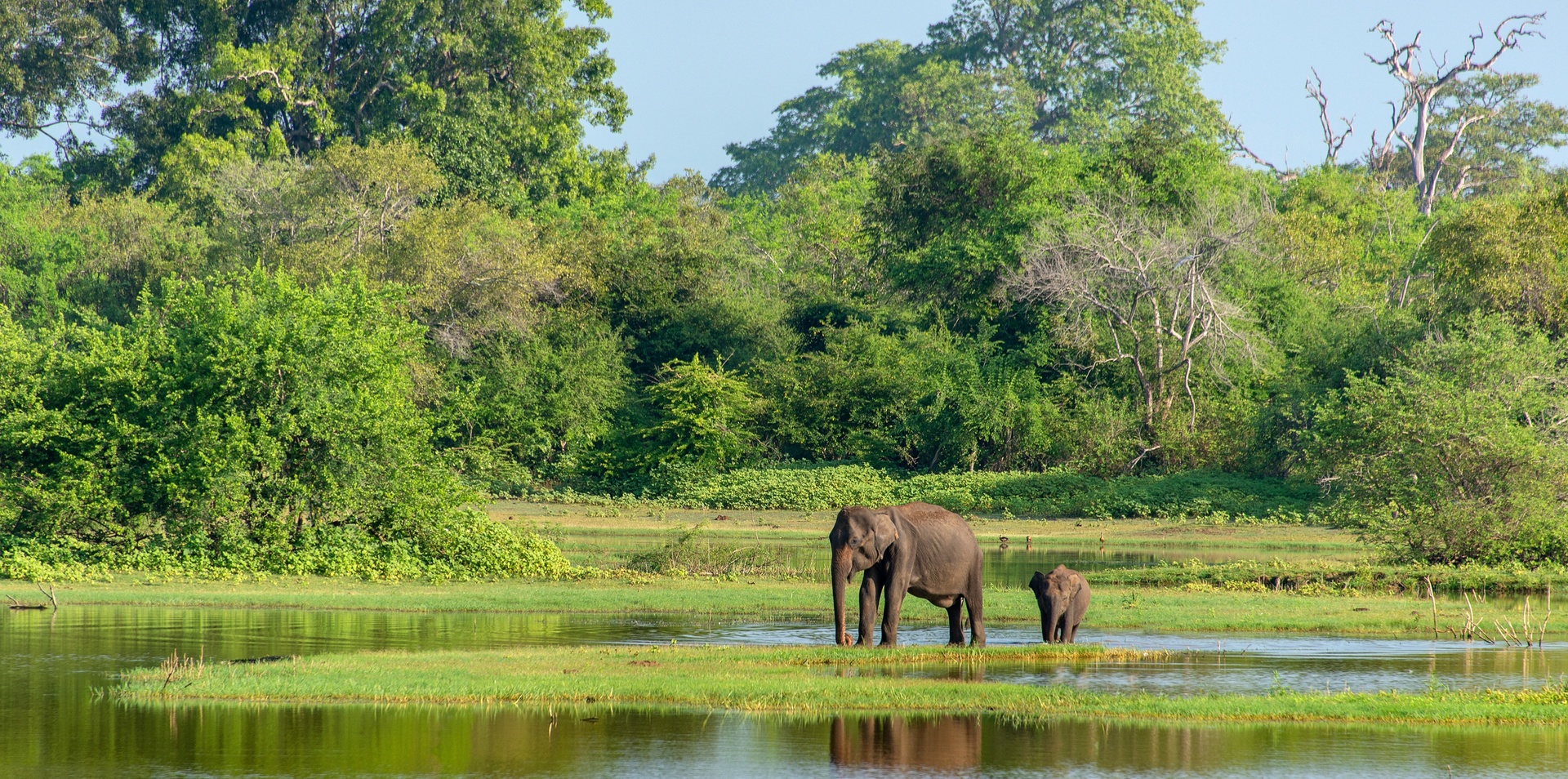 Discover Sri Lanka & Kerala