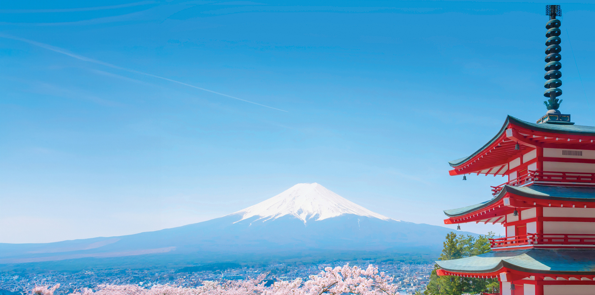 Cruise Across Japan