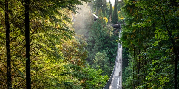 Capilano Suspension Bridge Park, Canada