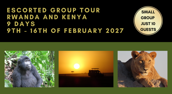 Kenya and Rwanda Tours holiday experience