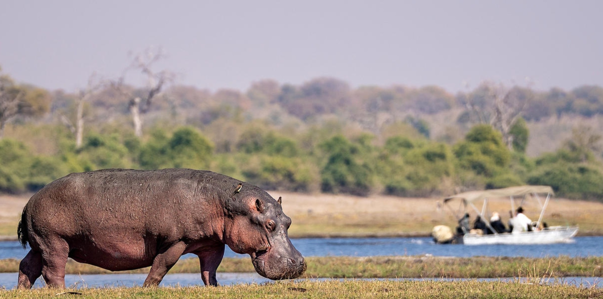 Wonders of South Africa