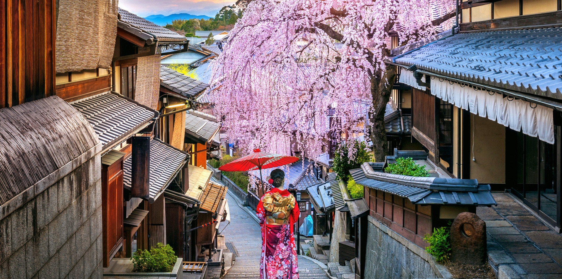Japan & South Korea: From Tokyo to Seoul